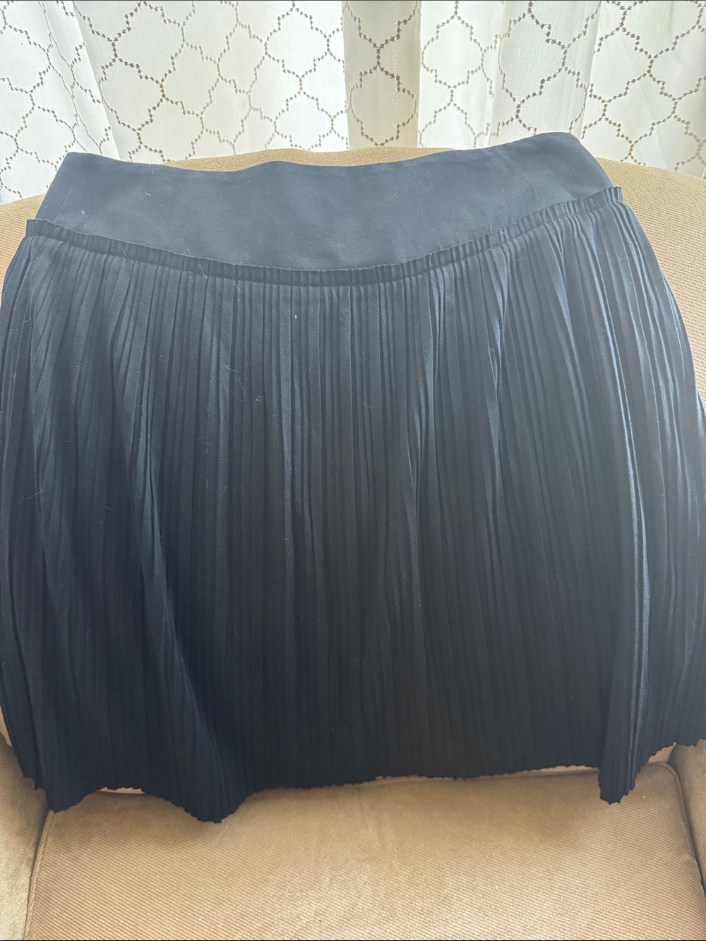 Banana Republic Black Pleated Mini Skirt